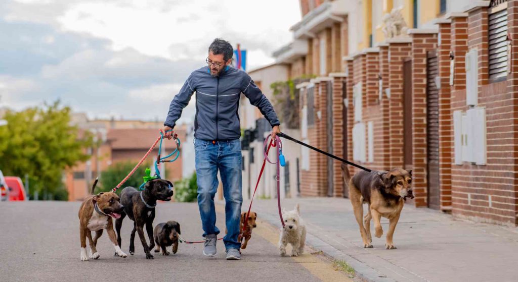 man is dog walking to save money toward his down payment